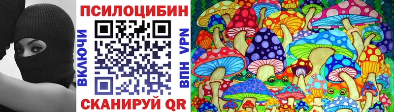 Галлюциногенные грибы Psilocybe  Купить где  Славгород 
